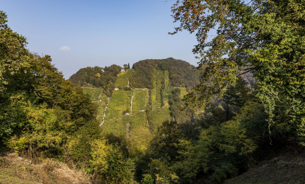 «Il nostro Prosecco? Un famoso sconosciuto. Ma dobbiamo puntare sull'identità»