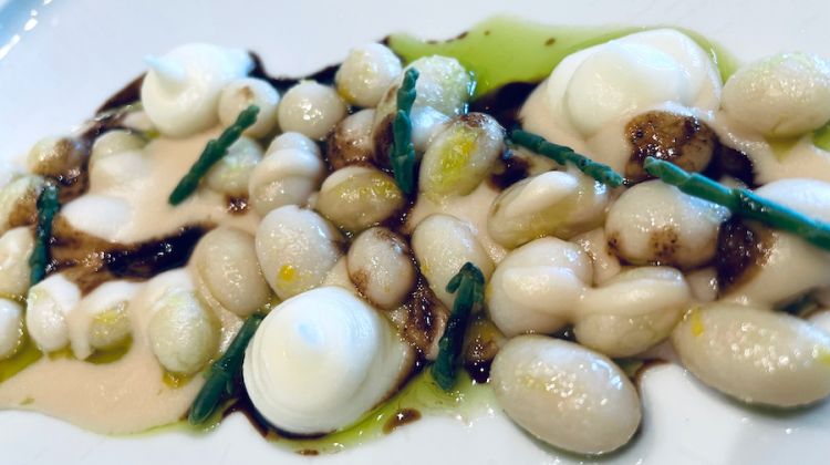 Fagioli, pecorino al fieno e salicornia, Giusepope Biuso in versione Talea
